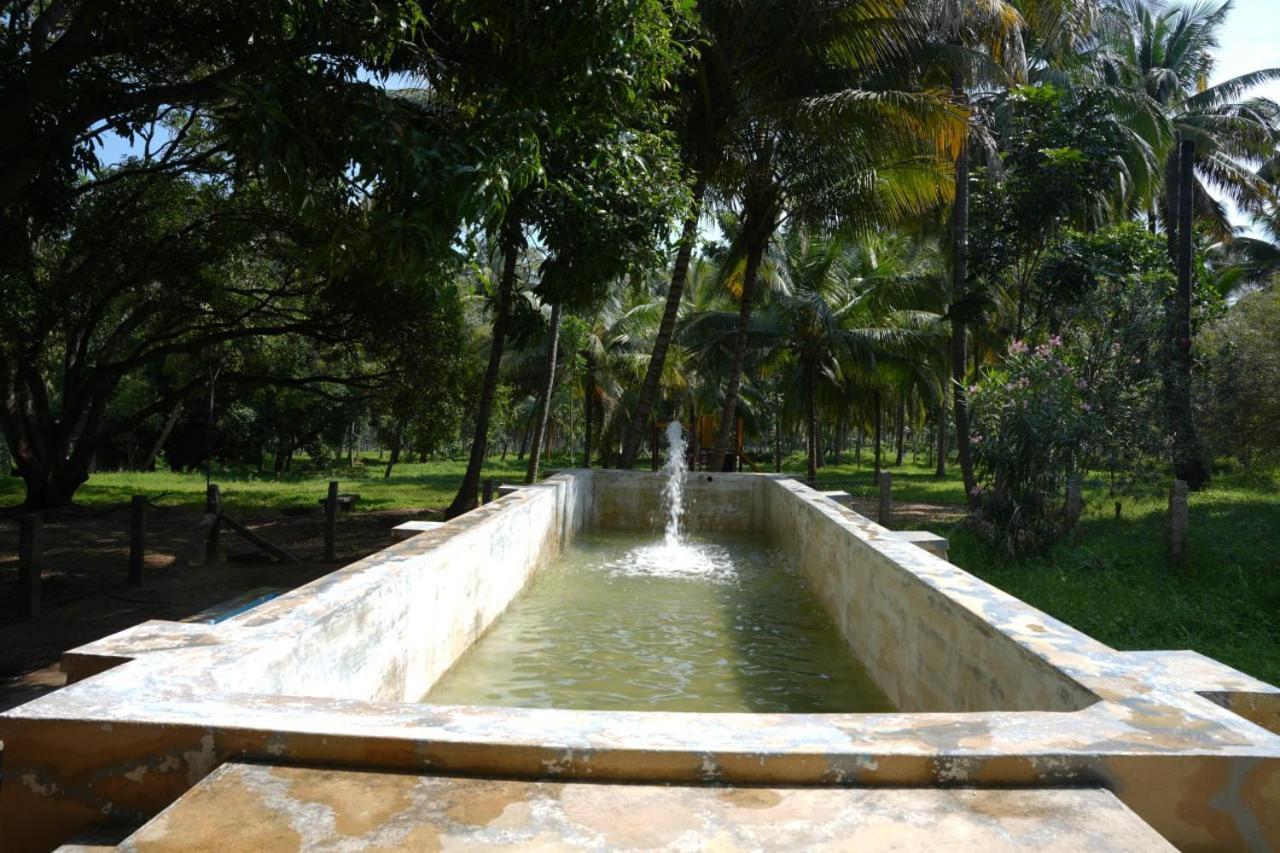 Anaimalai Down To Earth Farmstay By Laksem מראה חיצוני תמונה