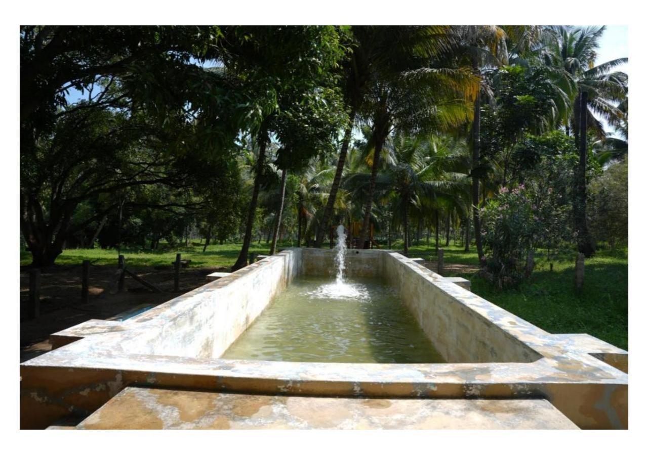 Anaimalai Down To Earth Farmstay By Laksem מראה חיצוני תמונה